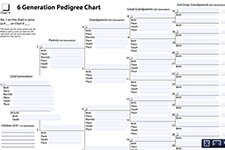 Printable Genealogy Forms